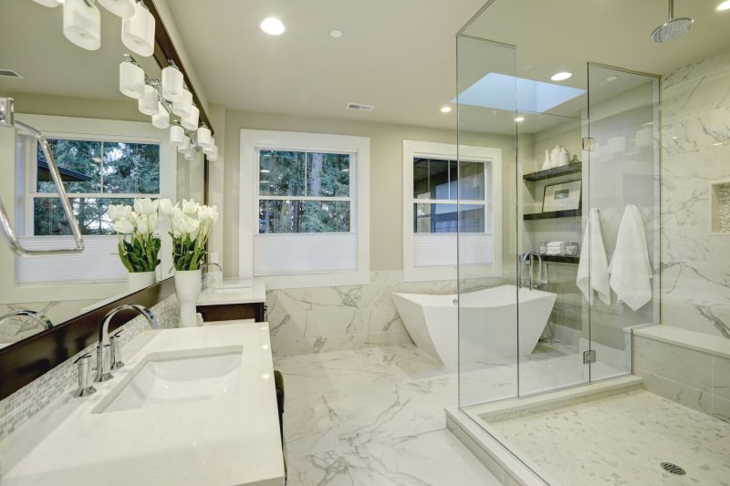 Modern Bathroom with High-End Finishes