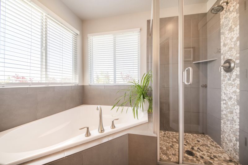 Contemporary Bathtub Finish